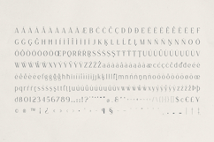 Demeris A Modern Serif Font Product Image 10