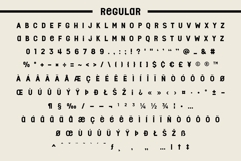 Fox Minko Product Image 10