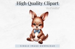 Cute Kangaroo Clipart, High Quality Digital Download Product Image 1