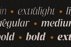 Pure Motif - An Elevated Serif Font Product Image 10