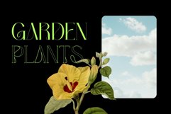 Bunmerang - Display Logo Product Image 8