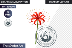 Flower Clipart PNG, Botanical Illustration Floral graphic Product Image 1