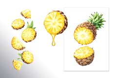 Tropical Pineapple Product Image 11