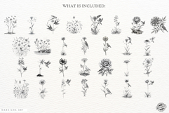 Summer Wildflowers &amp; Songbird Clipart Product Image 4