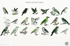 Mediterranean Birds Clipart Product Image 4