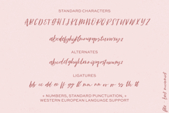 Fete Script Product Image 10