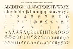 Sylvian - Luxury Serif Font Product Image 10