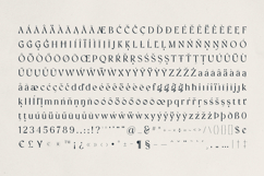Vellumo Elegant Serif Font Product Image 10