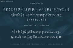 Wyldling Script Product Image 10