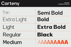 Carteny - Geometric Sans Family Product Image 9