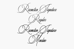 Risemotion Signature Product Image 10