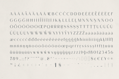 Monexa A Modern Serif Font Product Image 10