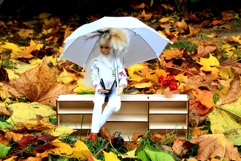 Miniature dollhouse bookcase drawer digital file, BJD doll Product Image 10