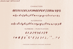 Jam Jar Script Product Image 10