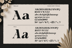 Horizon Craft - Bold Magazine Serif Font Product Image 10