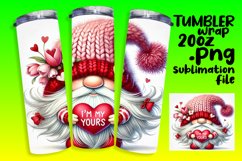 DYNAMIC 20oz Tumbler Artwork , Gnomes Product Image 1