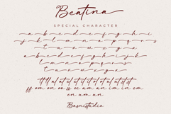 Beatina Signature Font Product Image 10