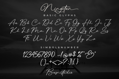 Ningetan Handwritten Font Product Image 10