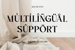 Molade - Modern Ligature Font Product Image 10