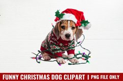 Funny Christmas Dog Watercolor Clipart Bundle PNG Product Image 11