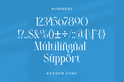 Kegson Product Image 10