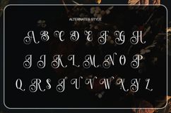 Paradise Loves - Elegant Serif Font Product Image 9