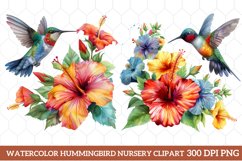 Watercolor Hummingbird Nursery Clipart, Watercolor Clipart Product Image 1