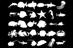 Cartoon Sea Animals, Outlines &amp; Silhouette Set 3 Procreate Product Image 10