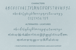 Waterssong Brush Script Product Image 10