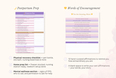 Pregnancy Planner Excel Spreadsheet Product Image 10