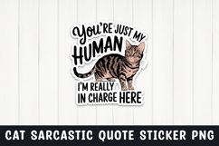 Sarcastic cat quote sticker design png Product Image 1