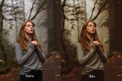 30 Golden Fall LUT Collection Product Image 6