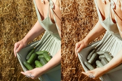 30 Harvest LUT Collection Product Image 5