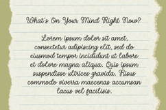 Nebraska Bridge - Monoline Cursive Font Product Image 11