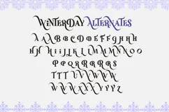 Winter Day - Luxury All Caps Display Serif Product Image 10