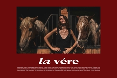 Aurellion - Elegant Serif Font Product Image 10