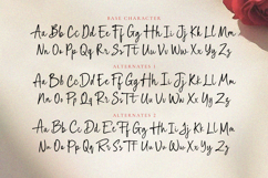 Rough Scribble Script Product Image 10