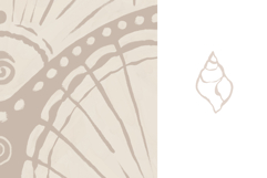 Seashells - Patterns and elements Product Image 9