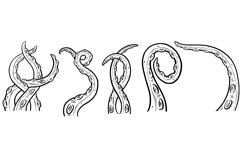 10 Tentacle Octopus Suckers Illustration Clipart SVG PNG Product Image 3