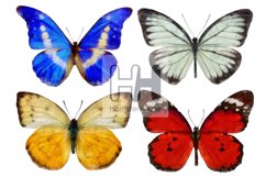 10 watercolor butterflies, transparent png Product Image 3