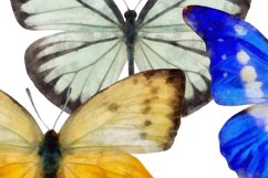 10 watercolor butterflies, transparent png Product Image 5