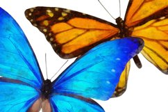 10 watercolor butterflies, transparent png Product Image 6