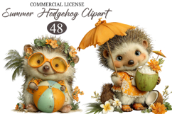 Whimsical Summer Hedgehog PNG Clipart Product Image 2