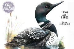 Portrait of the Loon Bird Watercolor PNG JPEG Digital Image Product Image 1