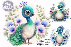 Cute Peacocks with Flowers 3 Watercolor JPEG Images Set Product Image 1