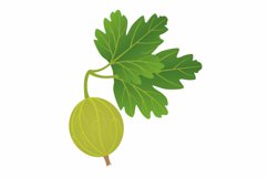 Gooseberry berry with leaves on a white background. Product Image 1