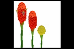 Zingiber spectabile, ginger flowers on a white isolated background.