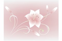 Beautiful floral background with flower lily.