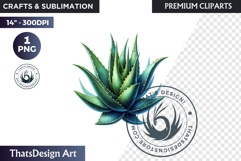 Medicinal Herbs clipart PNG, Apothecary Botanical Graphic Product Image 1