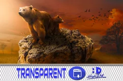 100 BEARS TRANSPARENT PNG FILES, ANIMALS PHOTOSHOP OVERLAYS Product Image 1